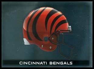 84 Cincinnati Bengals Helmet FOIL